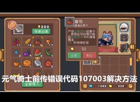 元气骑士前传错误代码107003怎么解决 错误代码107003解决方法