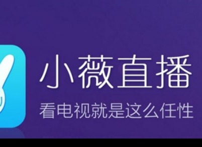 小薇直播怎么下载安装到电视机上 安装到电视机上方法分享