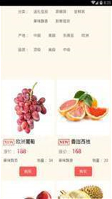 东东特色水果网