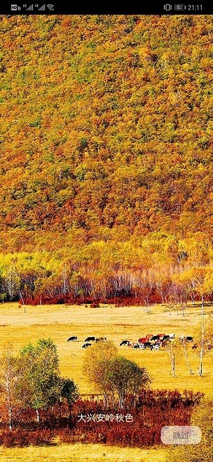 国家风景