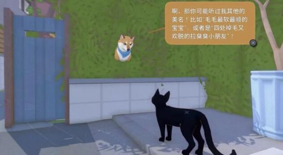 小猫咪大城市游戏手机版