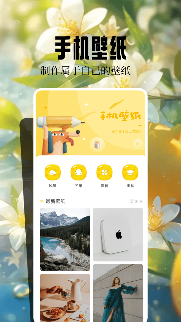 魔秀壁纸app