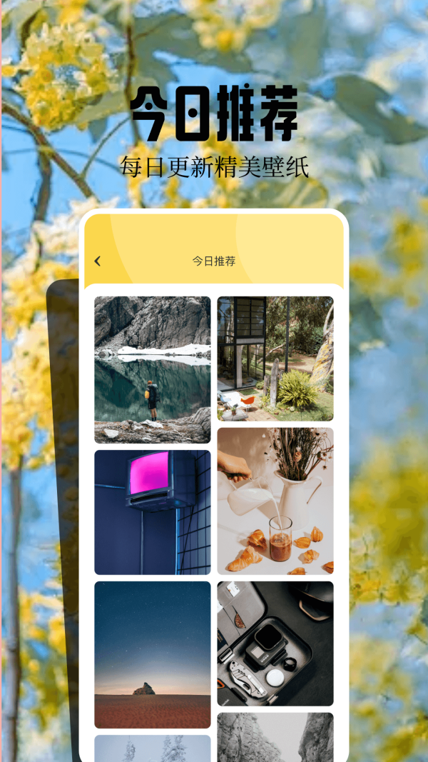 魔秀壁纸app