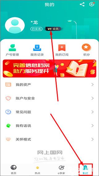 网上国网app