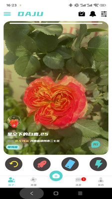 搭聚