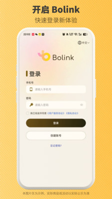 Bolink